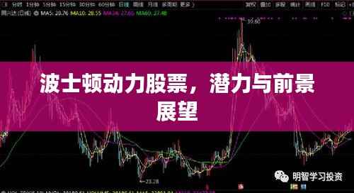 波士顿动力股票,潜力与前景展望