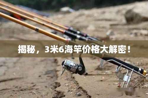 揭秘，3米6海竿价格大解密！