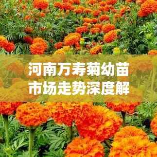 鸟为食亡 第3页