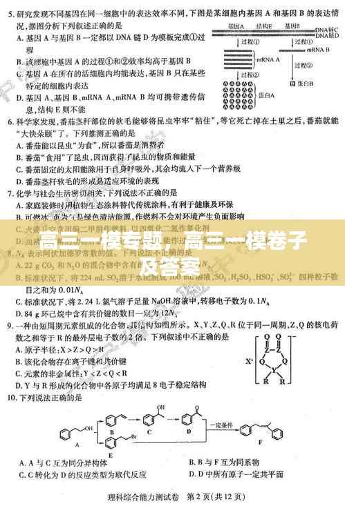 高三一模专题，高三一模卷子及答案 