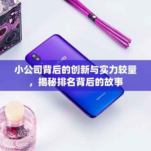 小公司背后的创新与实力较量,揭秘排名背后的故事