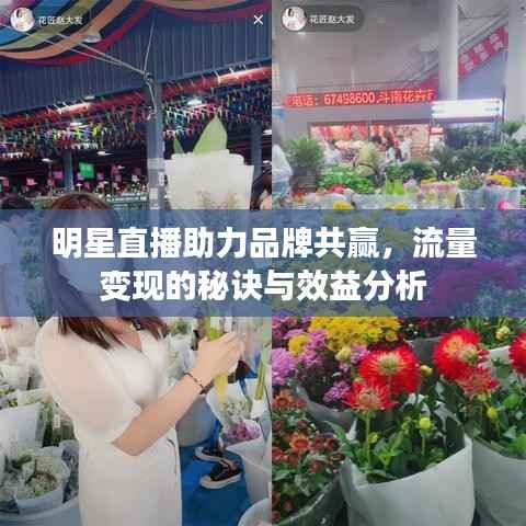 明星直播助力品牌共赢,流量变现的秘诀与效益分析