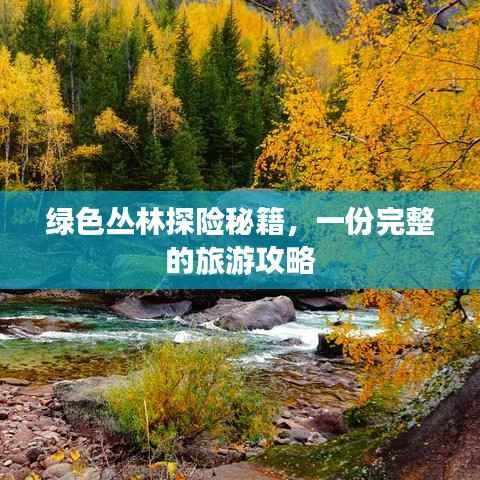 绿色丛林探险秘籍，一份完整的旅游攻略