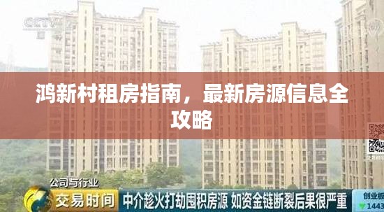 鸿新村租房指南，最新房源信息全攻略