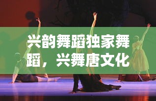 兴韵舞蹈独家舞蹈，兴舞唐文化传媒有限公司 