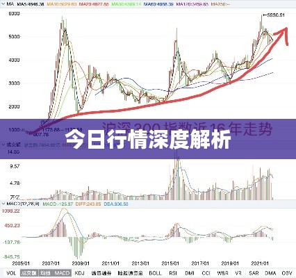 今日行情深度解析