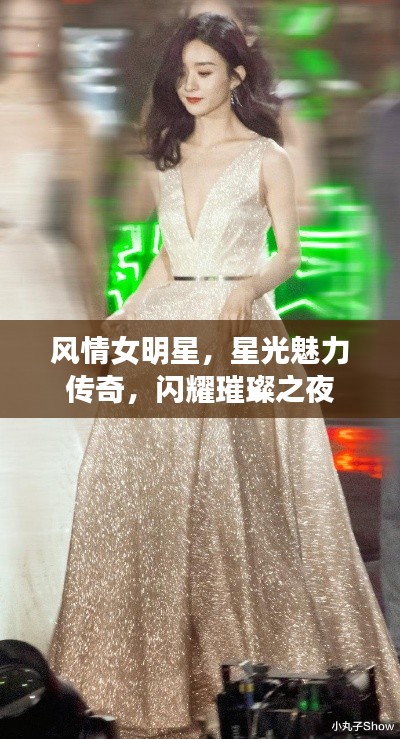 风情女明星,星光魅力传奇,闪耀璀璨之夜