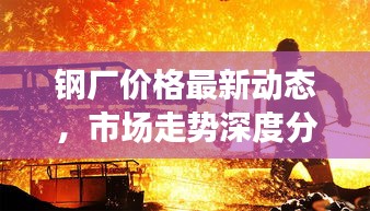 钢厂价格最新动态，市场走势深度分析与预测报告