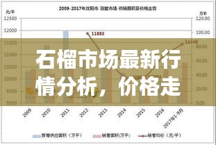 石榴市场最新行情分析,价格走势大揭秘!