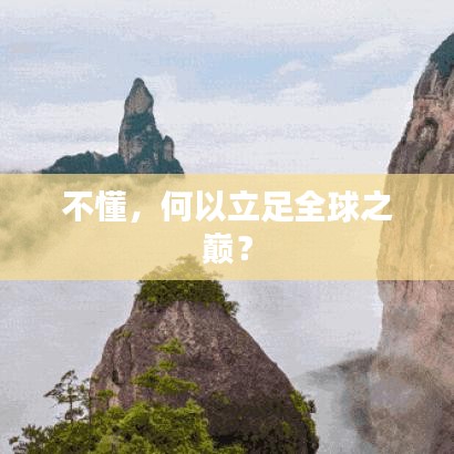 不懂,何以立足全球之巅?