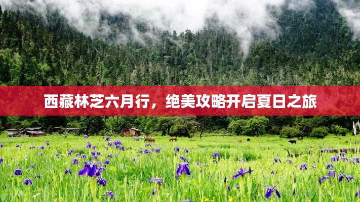 西藏林芝六月行,绝美攻略开启夏日之旅