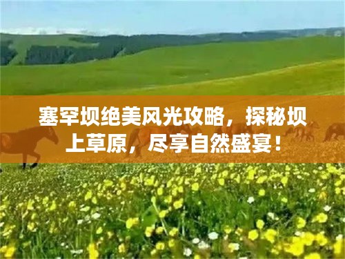 塞罕坝绝美风光攻略,探秘坝上草原,尽享自然盛宴!