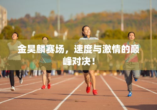 金昊麟赛场,速度与激情的巅峰对决!