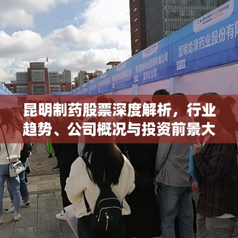 昆明制药股票深度解析，行业趋势、公司概况与投资前景大揭秘