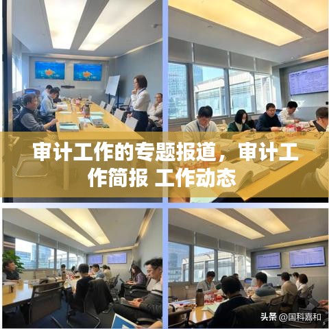 审计工作的专题报道,审计工作简报 工作动态