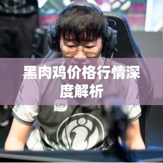黑肉鸡价格行情深度解析