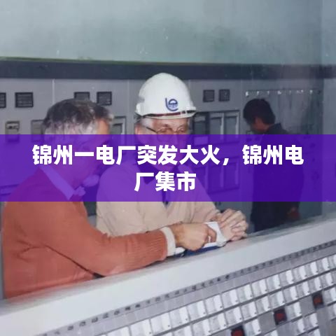 锦州一电厂突发大火,锦州电厂集市