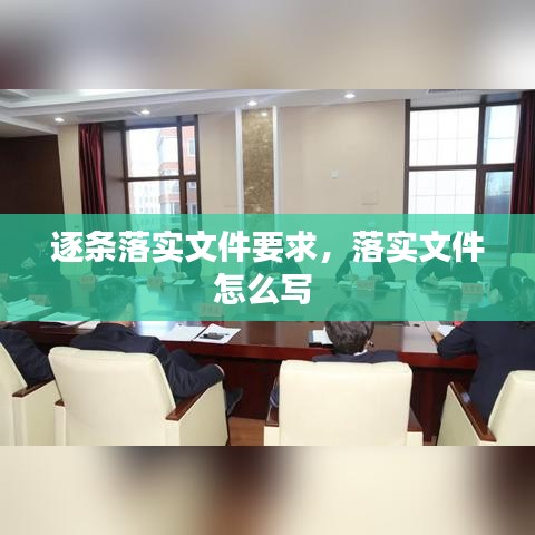 逐条落实文件要求，落实文件怎么写 