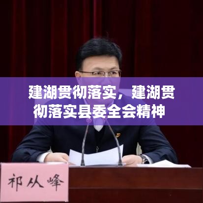 建湖贯彻落实,建湖贯彻落实县委全会精神