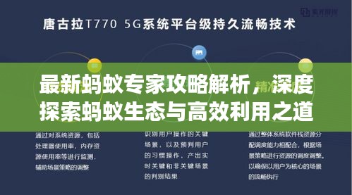最新蚂蚁专家攻略解析,深度探索蚂蚁生态与高效利用之道