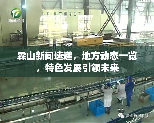 霖山新闻速递，地方动态一览，特色发展引领未来