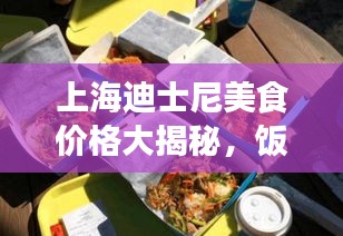 上海迪士尼美食价格大揭秘,饭菜价格概览