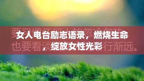 物是人非