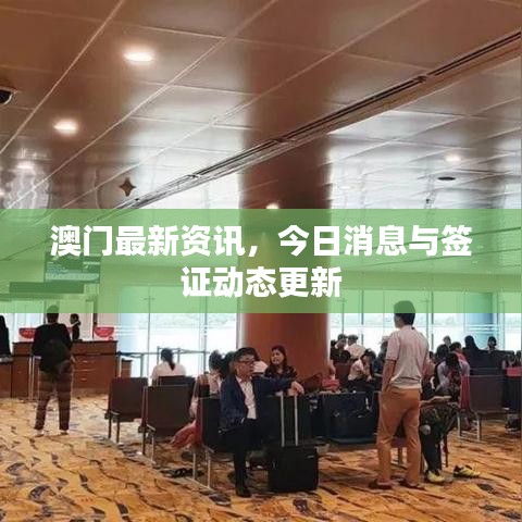 澳门最新资讯,今日消息与签证动态更新